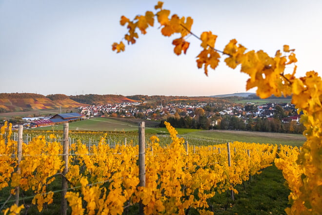 Herzlich Willkommen